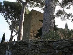 183 D24 BORMES LES MIMOSAS 2_000022